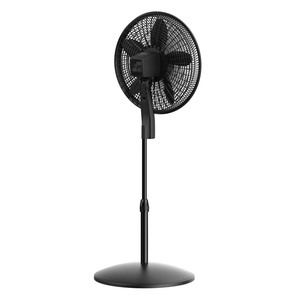 Black Pedestal Fan O351