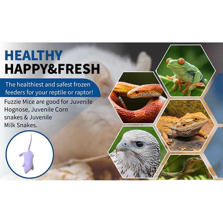 Frozen Mice Feeders Combo Pack, 150 Count O2635