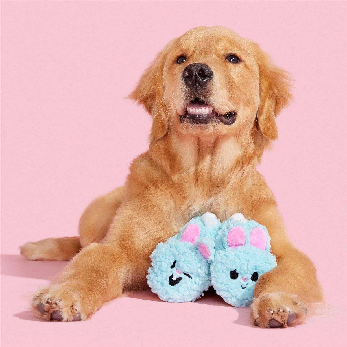 Plush Dog Toys with Squeakers and Crinkle K892