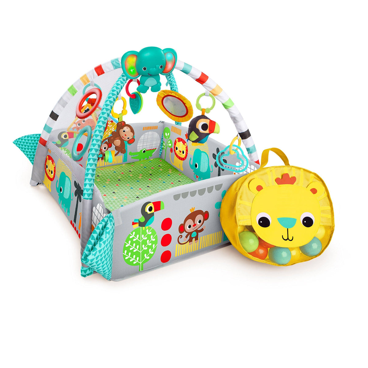 5-in-1 Play Activity Gym V384784