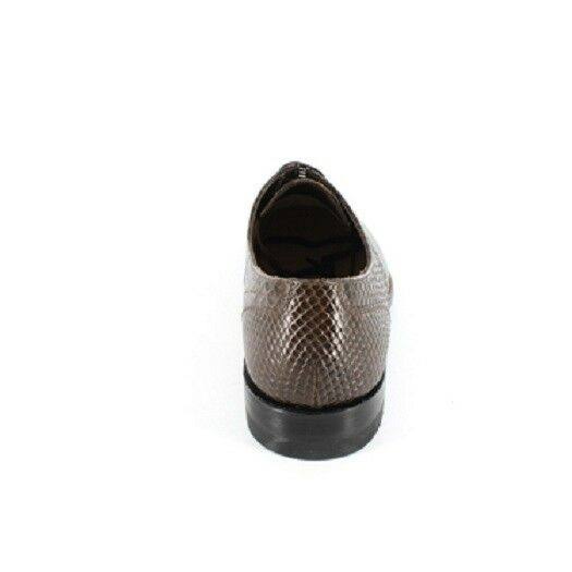 Brown Anaconda Men&s Shoes A463975