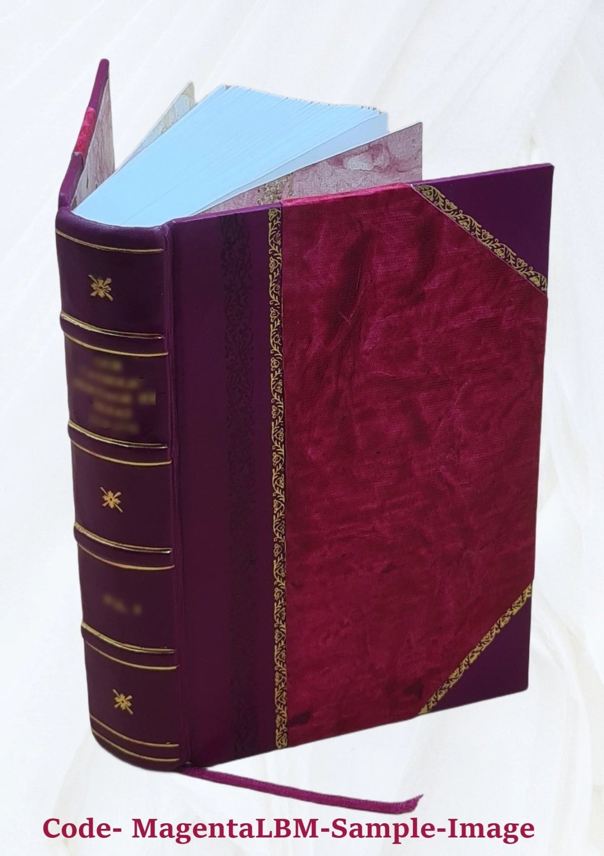 Satirae 16. Ad optimorum exemplarium fidem recensitae varietate lectionum perpetuoque commentario illustratae et indice uberrimo instructae a Ge. Alex. Ruperti, quibus adjectae sun P60205