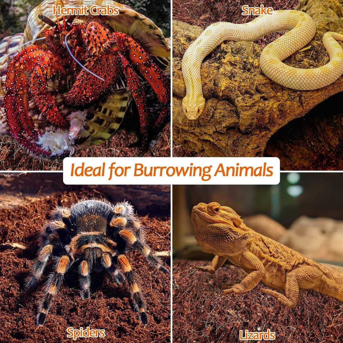 Natural Coconut Fiber Reptile Terrarium Bedding X43459