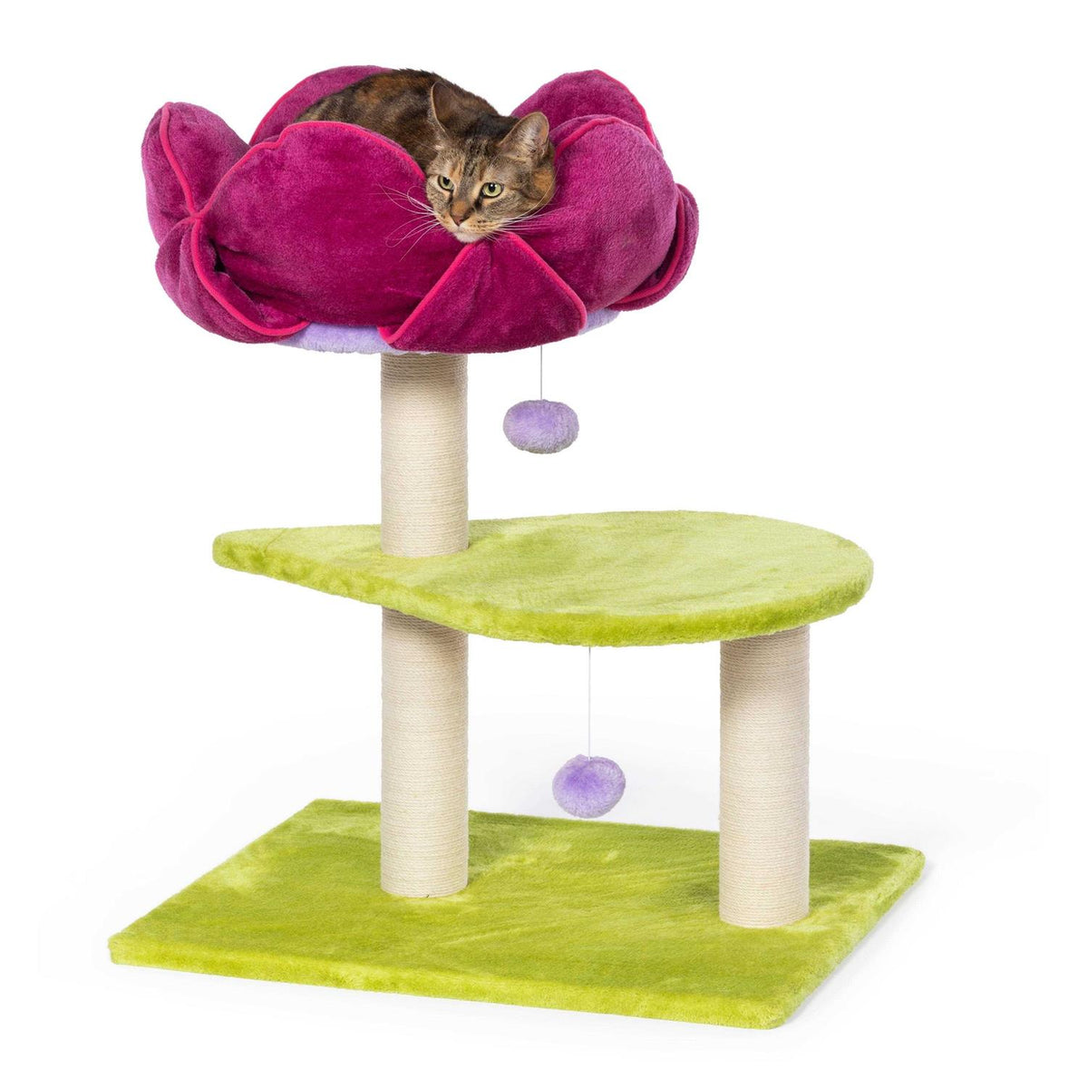 Pet Supplies S7653