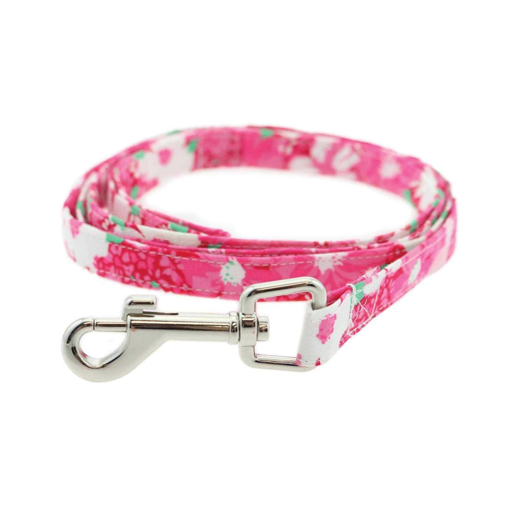 Cool Mesh Dog Harness with Leash Y505812
